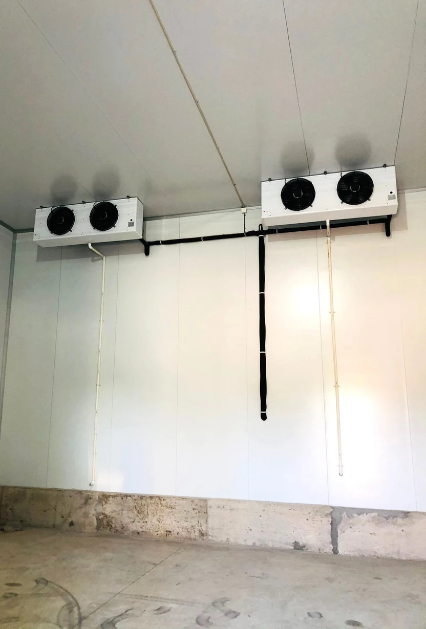 Camara Kiyu 6 Copiar agrofrio.com.uy